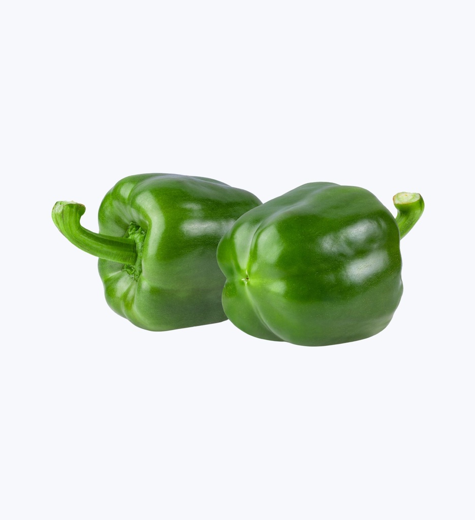 Capsicum