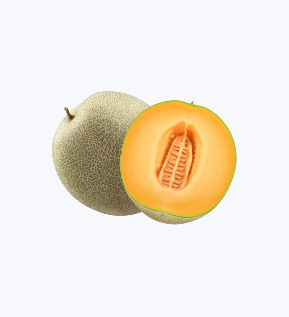 Musk Melon